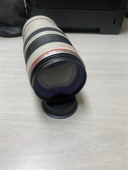 Canon EF 100-400mm f4.5-5.6 L IS - 6