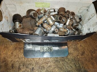 Gola sada orechy - 6