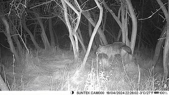 Fotopasca hc-900m - 6