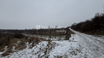 REZERVOVANÉ - Vinohrad 1862 m², v meste Pezinok + 3D - 6