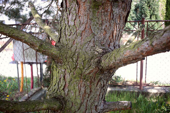 RMC Tokina 28mm / F2,8 / M42 - 6