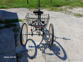 Cestný tricykel Bian - 6