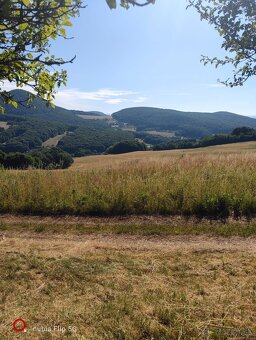 Ovocný sad / Záhrada na predaj - 6