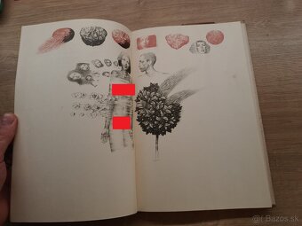 Miroslav Válek: Zakázaná láska, Brunovský 1977 - 6