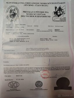 Nemecký ovčiak - 6