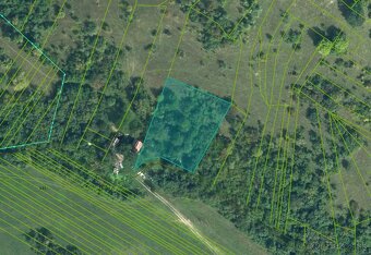 Veľký Blh - 503 m2 PÔDA a LESY – PREDAJ - 6