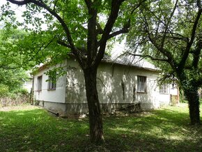 Predaj, rodinný dom, chalupa, Žikava, Topoľčianky - 6