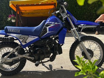 Yamaha PW 80 - 6