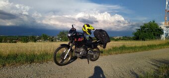 Honda Dominator 500 - 6
