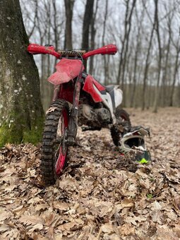 Predám pitbike 125 - 6