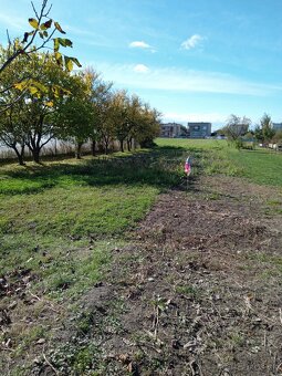 Rodinný dom Pavlovce nad Uhom - 6