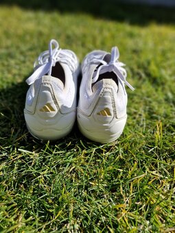Adidas predator - 6