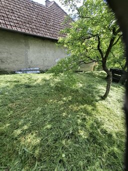 Kosenie pozemkov, záhrad - 6