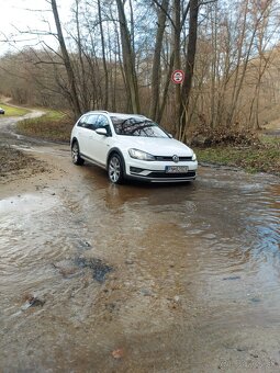 Golf 7 Alltrack - 6