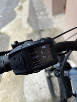 Kellys tygon r50 L - 6