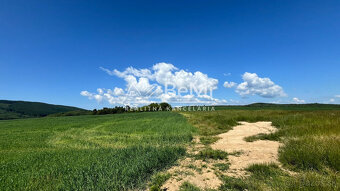 Rovinaté pozemky Sása, Zvolen - 6