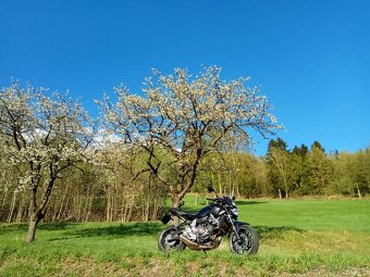 Yamaha mt 07 2014 - 6