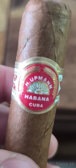 Cohiba robustos - 6