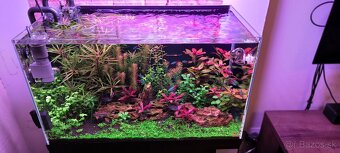 Akvarium plus stolik - 6