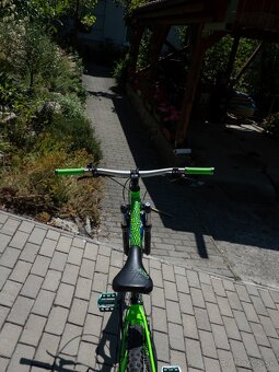 Kellys Whip - 6