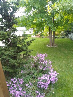 Bývajte na čistom vzduchu so svojím zvieratkom - 6