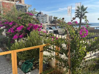 Apartmánový dom s bazénom priamo pri mori – Čierna Hora - 6