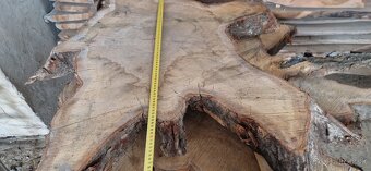 Dubové priečne rezy na stoly - 6