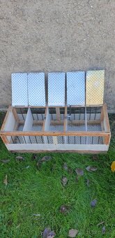 Predám poštové holuby / Eladók postagalambok - 6