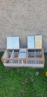 Predám poštové holuby / Eladók postagalambok - 6