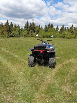 Polaris Magnum 325 - 6