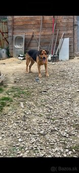 Darujeme fenku ❤️ - 6