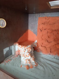 Krasne velke terarium - 6