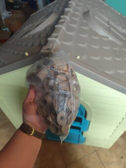 Detský záhradný domček Paradiso - 6