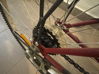 Bicykel Dema - 6