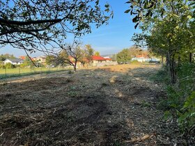Čistenie pozemkov - mulčovanie, frézovanie - 6