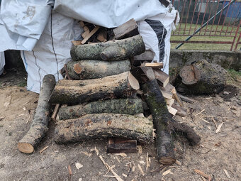 Palivove drevo - 6