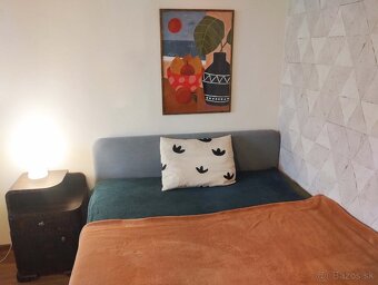 1izbový byt pri Auparku - 6