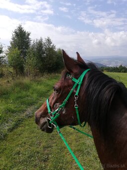 Biothane uzdečka full - 6