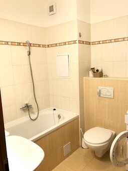 1izb. AGÁTOVA UL. za 580 €/mes. vrátane energií - 6