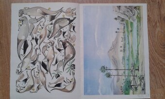 Vystrihovánky ABC Vojenská technika - 6