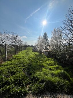 Na predaj dom s pozemkom v obci Ostrov - 6
