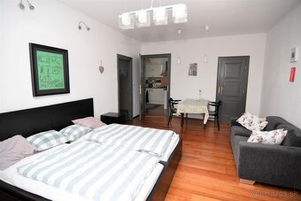 Štýlový, veľký 1-izbový byt v širšom centre - 6