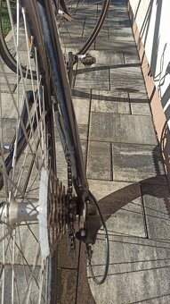 Cestný bicykel Dema alvito - 6