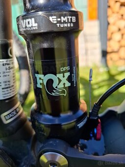 Wheeler I SEEN SE (L) - 6