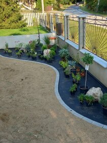 Realizácie záhrad,rez ovocných stromov a drevín - 6