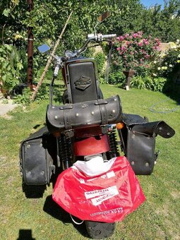 suzuki - 6