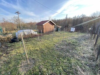 Záhrada, pivnica - 6