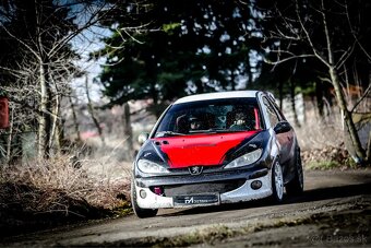 Peugeot 206 RC Rally 2.0 - 6