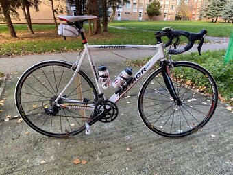 Author  A 5500 - veľkosť M - 6