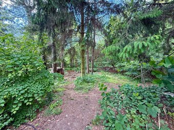 Predaj pozemku 1770m2 Chrenovec - Brusno - 6